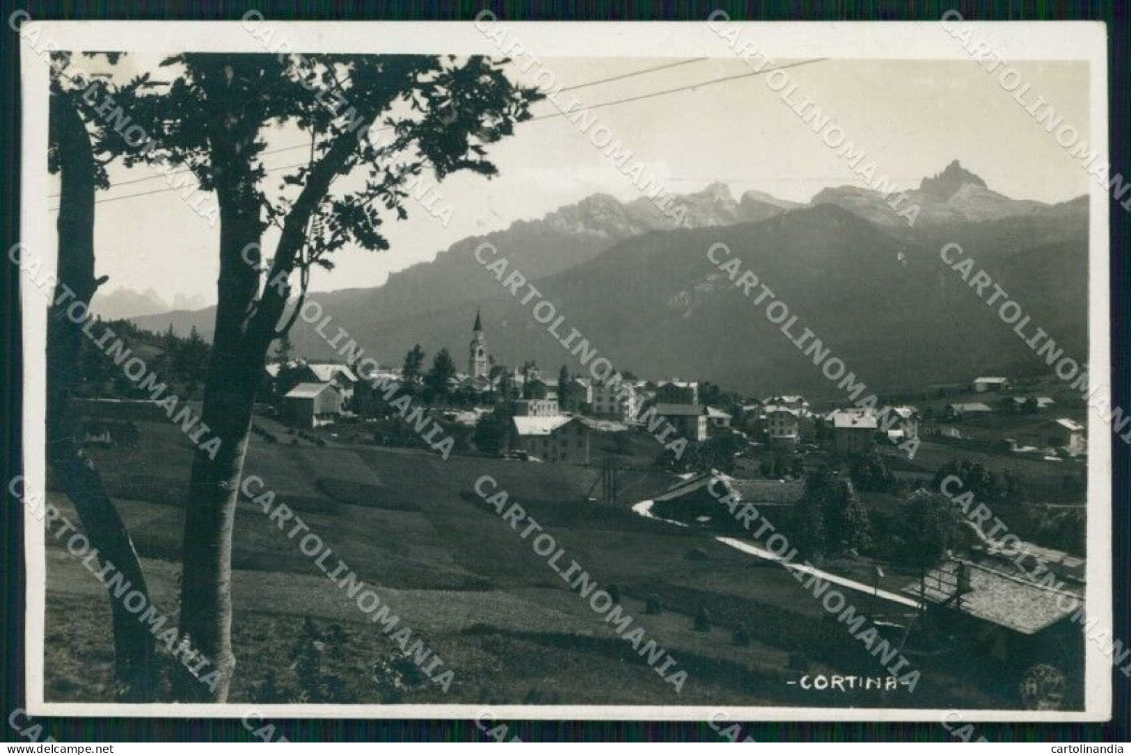 Belluno Cortina D'Ampezzo Foto Zardini Cartolina RB6594 - Belluno