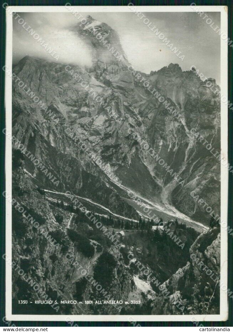 Belluno Borca Di Cadore Rifugio San Marco Antelao FG Foto Cartolina RB6530 - Belluno