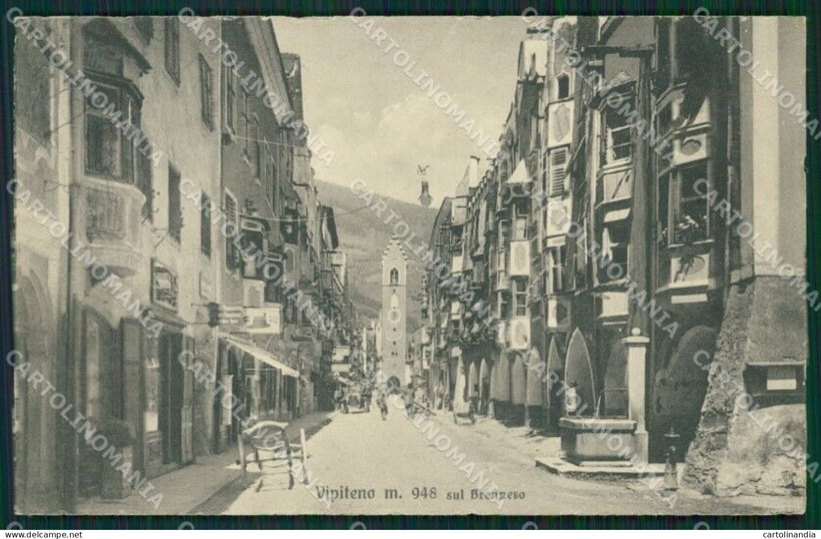 Bolzano Vitipeno Cartolina ZKM8548 - Bolzano