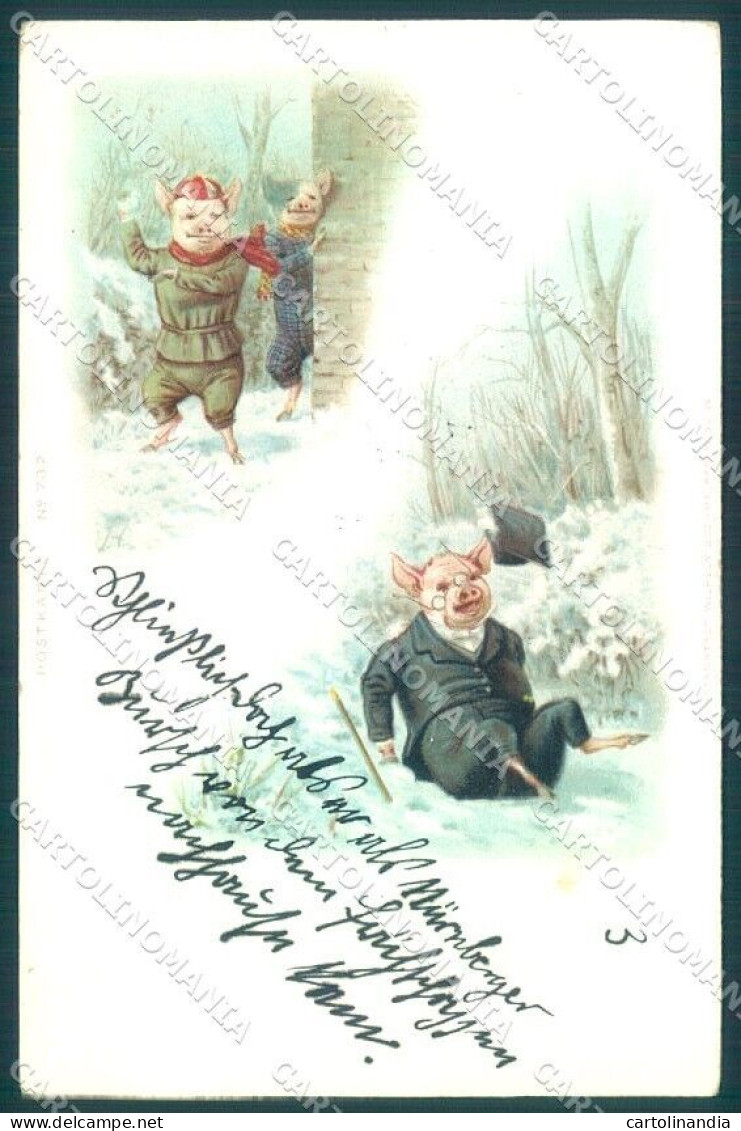 Animals Dressed Pig Boehme 732 Cartolina Postcard TW1731 - Otros & Sin Clasificación