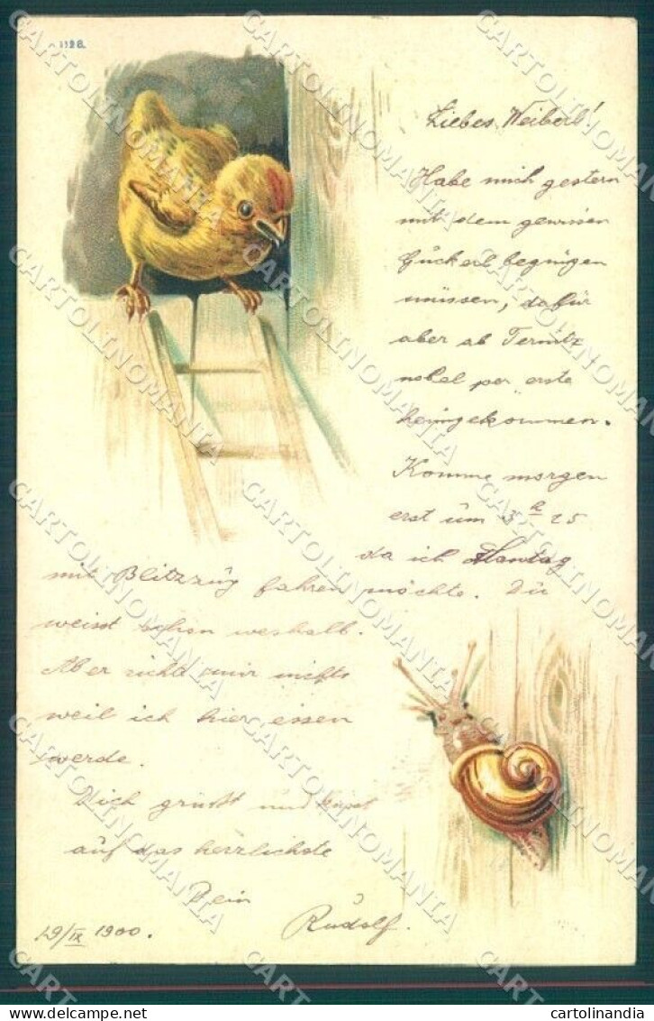 Artist Signed Chick Snail Serie 1128 Cartolina Postcard TW1853 - Otros & Sin Clasificación