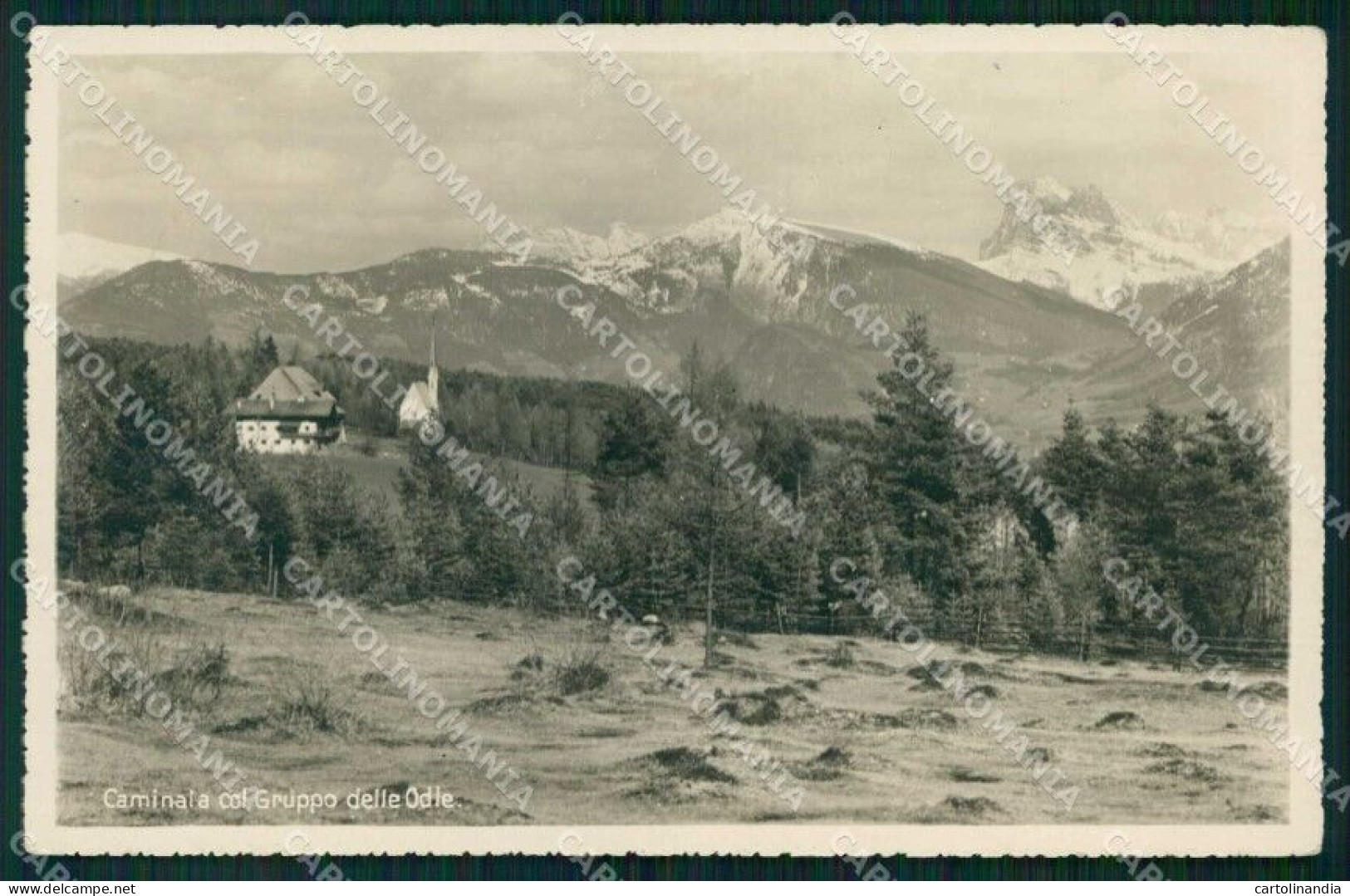 Bolzano Caminata Gruppo Delle Odle Foto Cartolina RB7123 - Bolzano