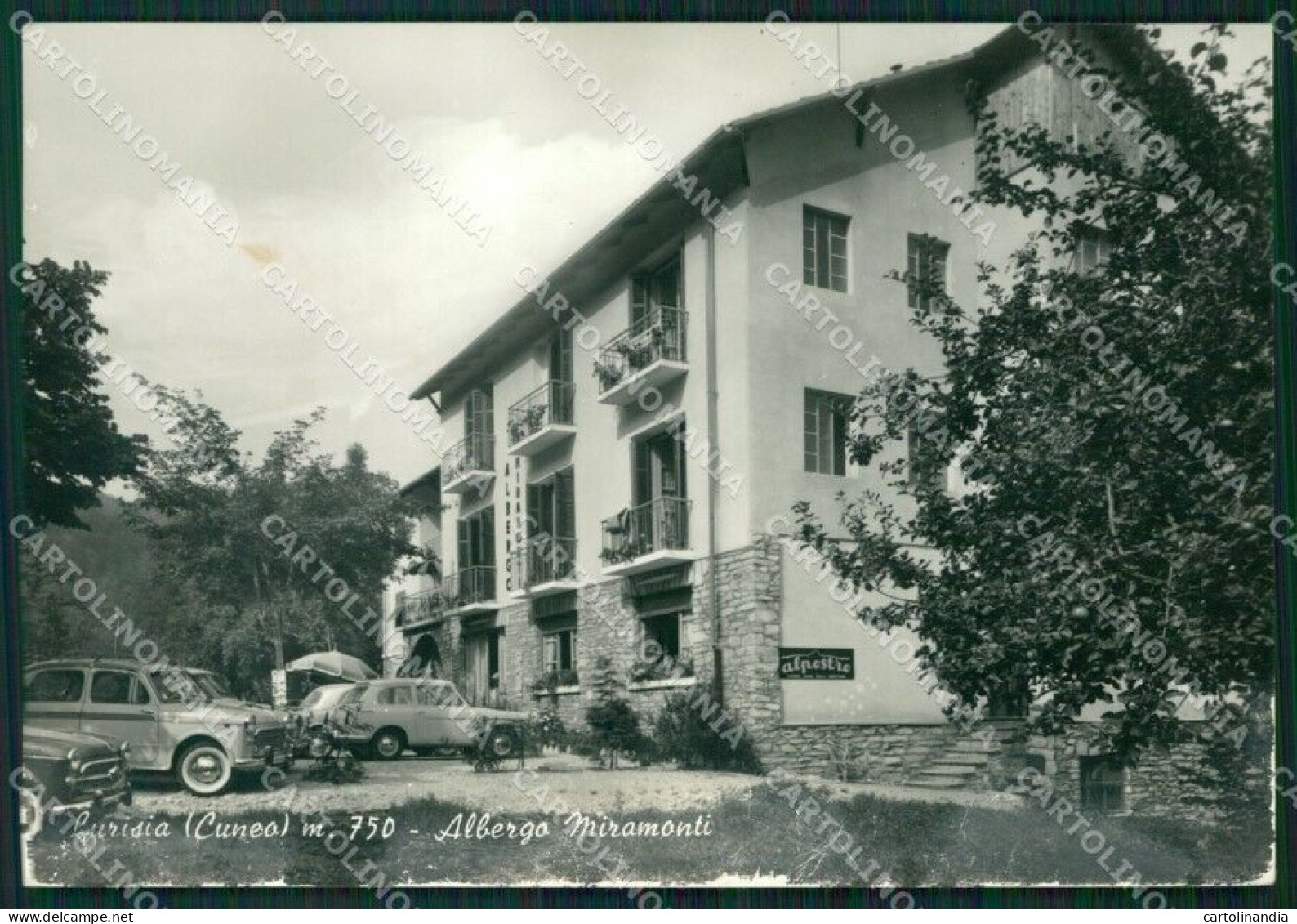 Cuneo Roccaforte Mondovì Lurisia ABRASA Foto FG Cartolina ZK2996 - Cuneo