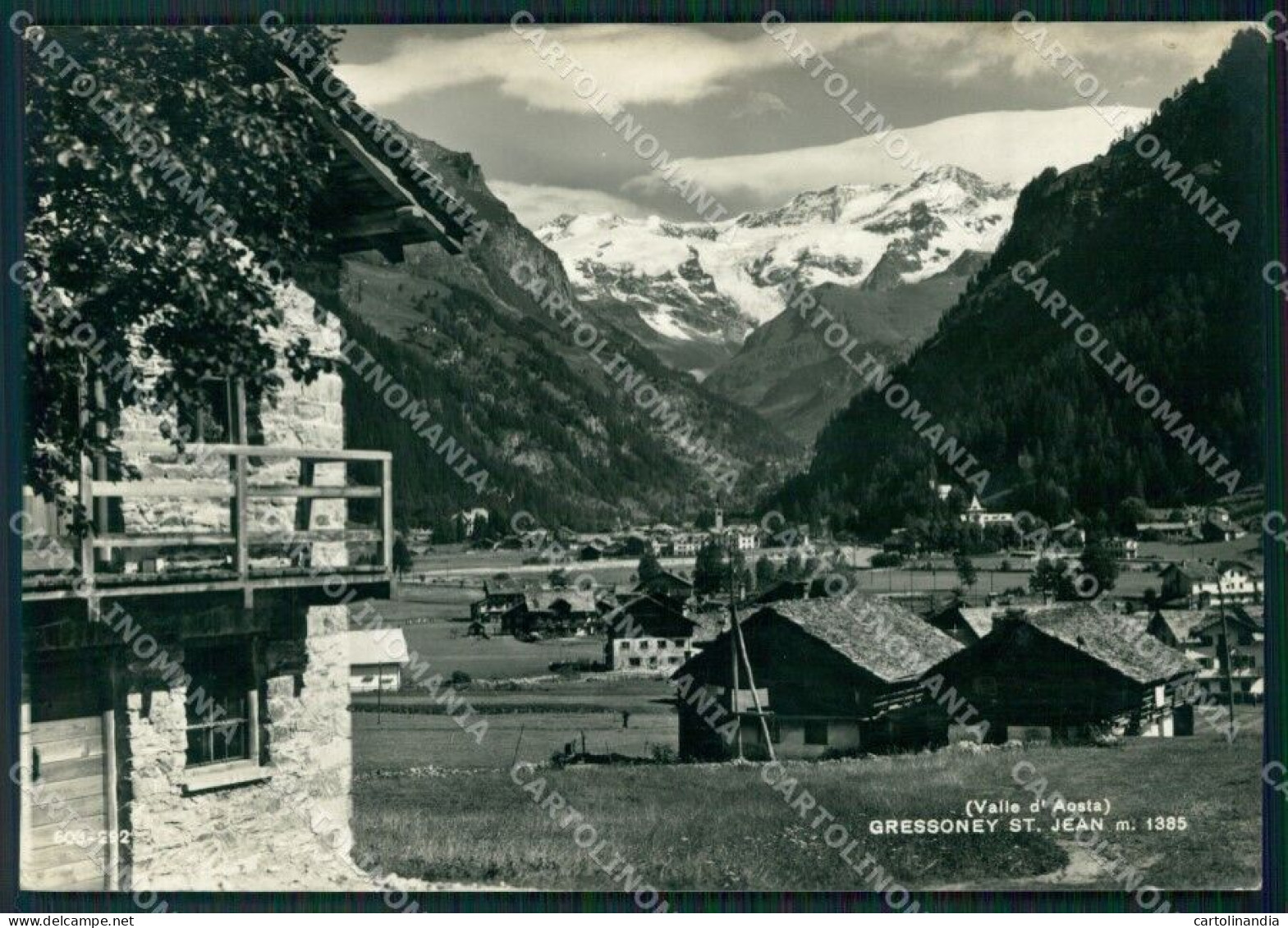 Aosta Gressoney Saint Jean Foto FG Cartolina ZK5262 - Aosta