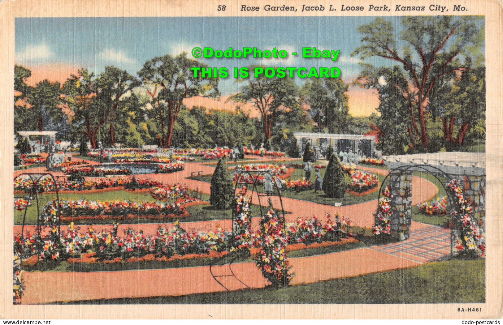 R398499 Rose Garden Jacob L. Loose Park Kansas City Mo. 58. 8A H461. Max Bernste - World