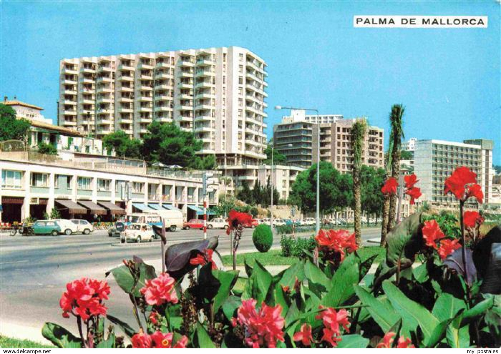 73971741 Palma_de_Mallorca_ES Paseo Maritimo Detalle - Other & Unclassified