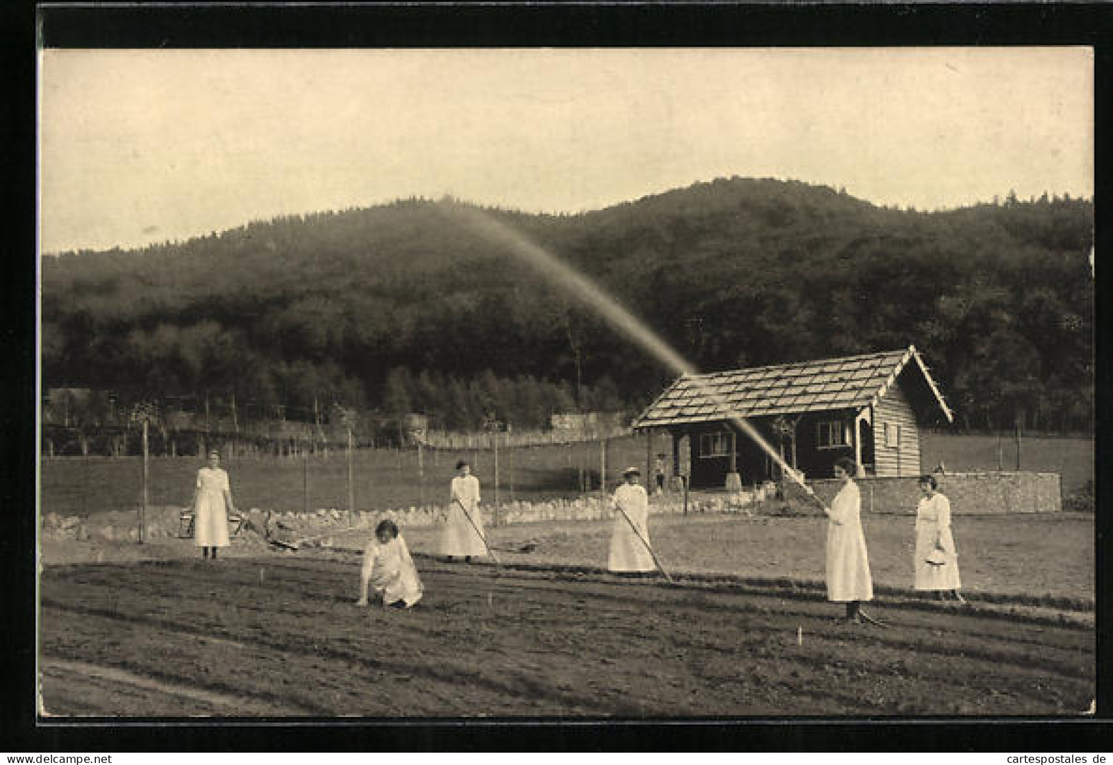 AK Bad Harzburg, Waldsiedlung Wolfsklippen, Gartenbaugelände Bei Der Sennhütte  - Bad Harzburg