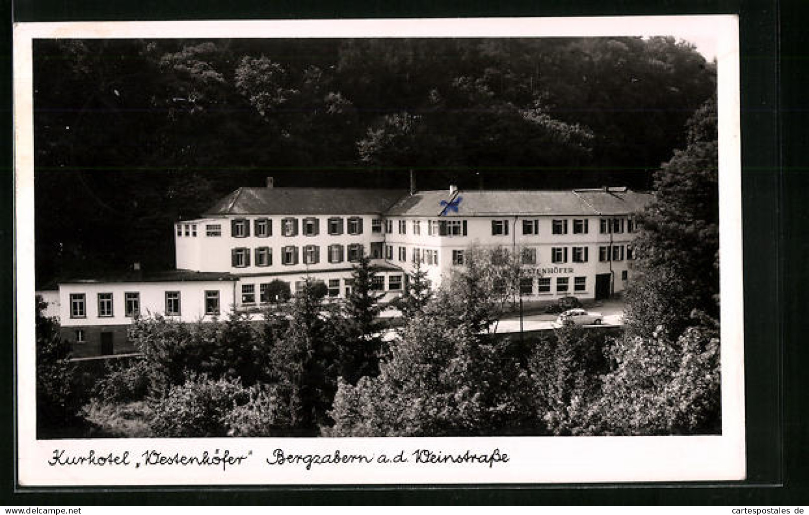 AK Bergzabern A. D. Weinstrasse, Das Kurhotel Westenhöfer  - Bad Bergzabern