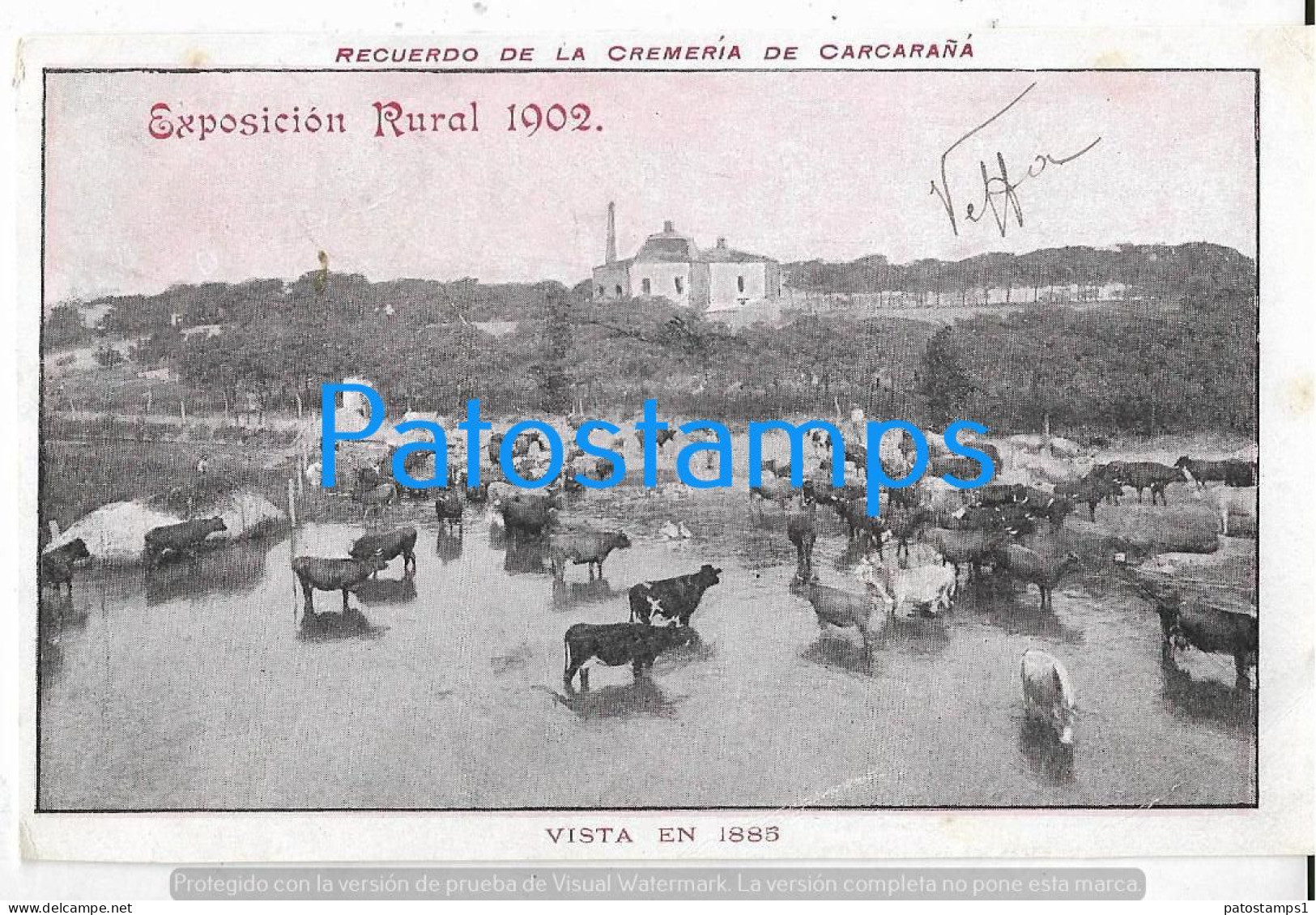 227231 ARGENTINA SANTA FE CREMERIA DE CARCARAÑA EXPOSICION RURAL TAXADA CIRCULATED TO ITALY POSTCARD - Argentina