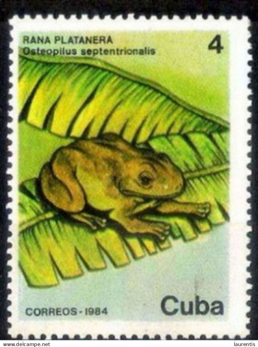 7476  Frogs - Grenouilles - 4c 1984 - MNH - Cb - 1,50 - Frösche