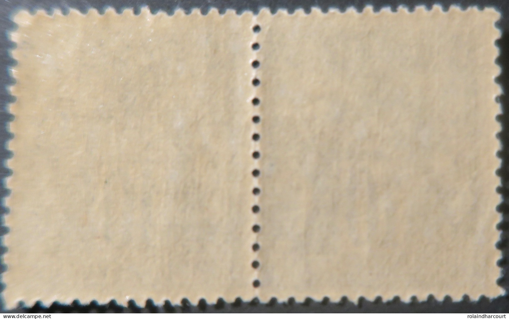 R1311/2978 - FRANCE - SAGE TYPE I N°103 NEUFS** (PAIRE) - 1876-1878 Sage (Type I)