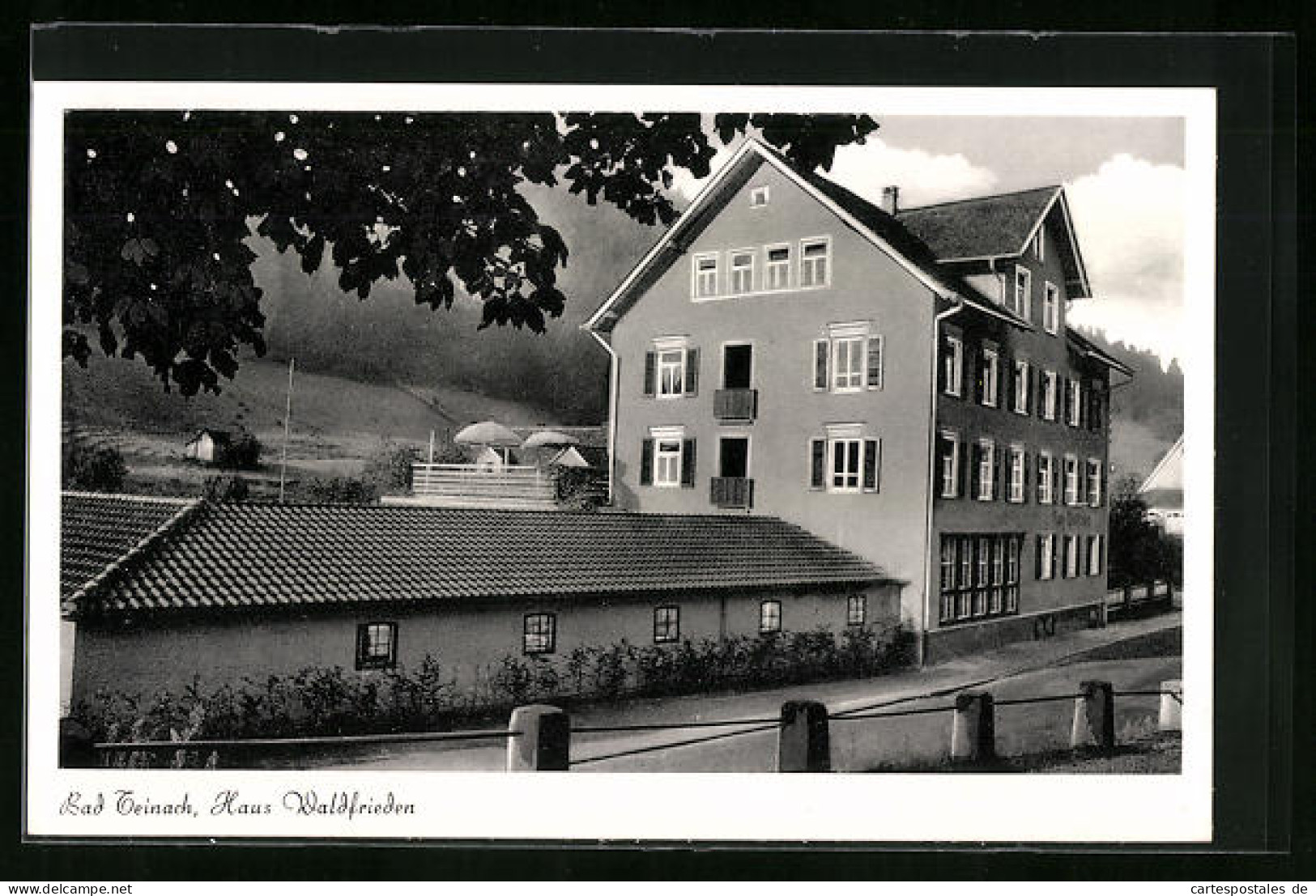 AK Bad Teinach, Hotel Haus Waldfrieden  - Bad Teinach