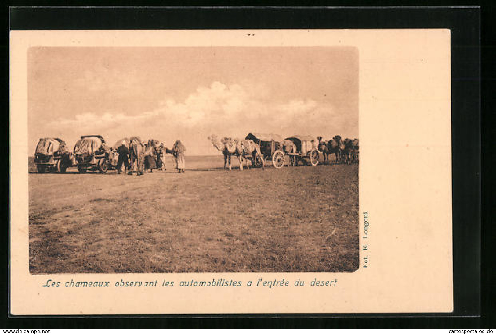 AK Les Chameaux Oberservant Les Automobilistes A L`entrée Du Desert  - Voitures De Tourisme