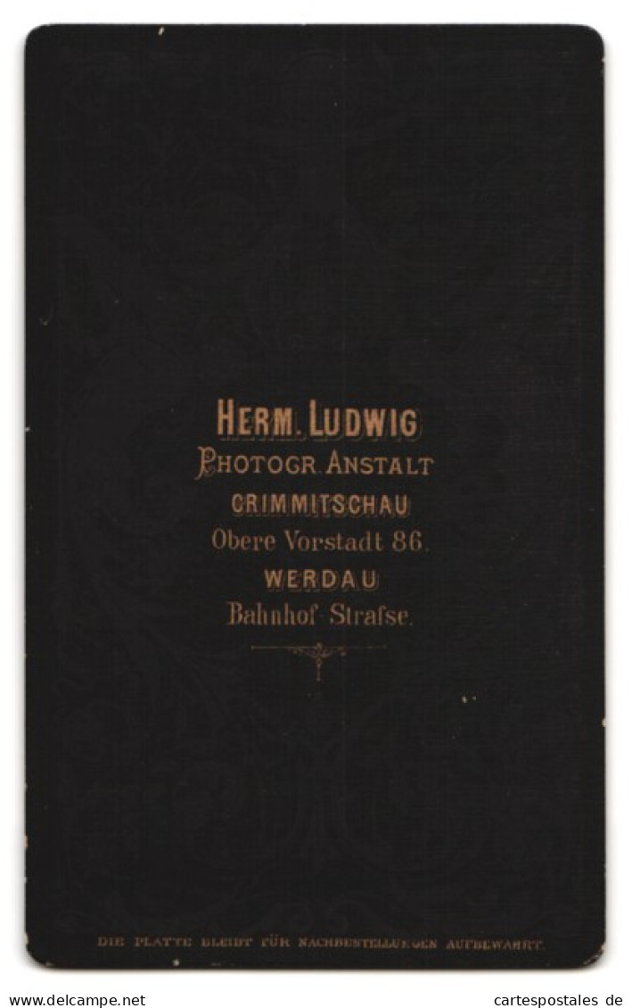 Fotografie H. Ludwig, Crimmitschau, Obere Vorstadt 86, Älterer Herr Mit Vollbart  - Personas Anónimos