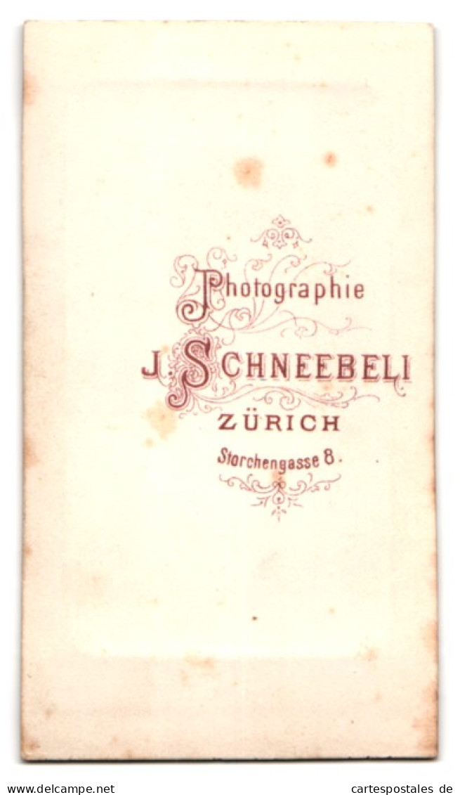 Fotografie J. Schneebeli, Zürich, Storchengasse 8, Bürgerliche Dame In Schwarzer Kleidung  - Anonymous Persons