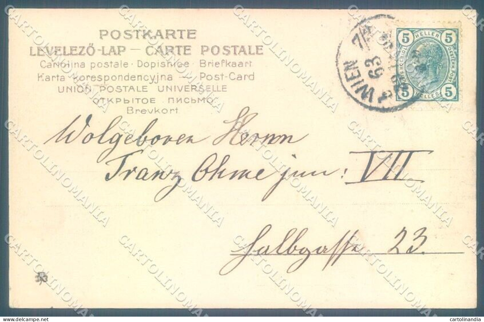 New Year 1905 Pig Four Leaf Clover Cartolina Postcard TW1521 - Otros & Sin Clasificación