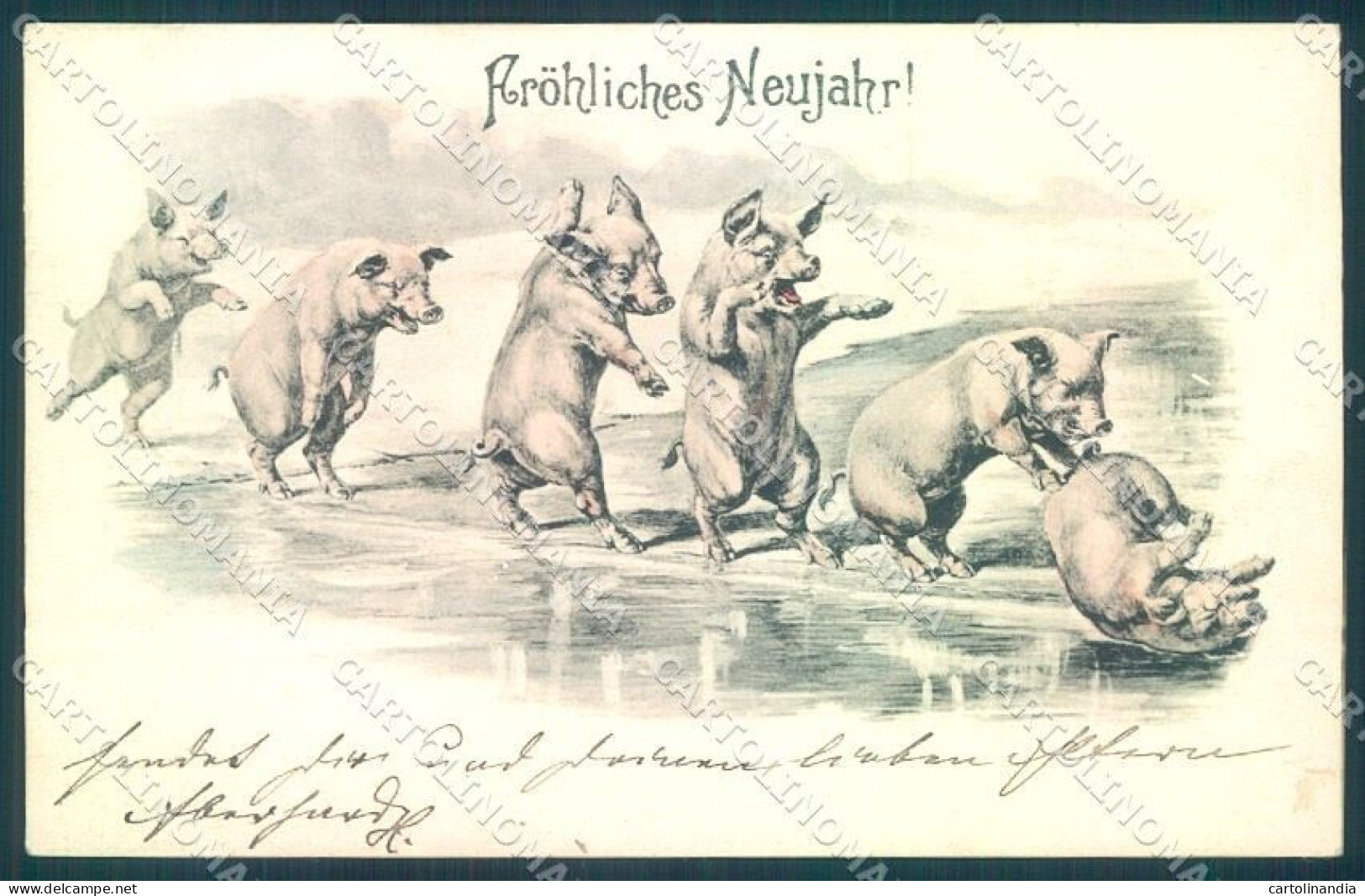 New Year Pig Cartolina Postcard TW1524 - Otros & Sin Clasificación