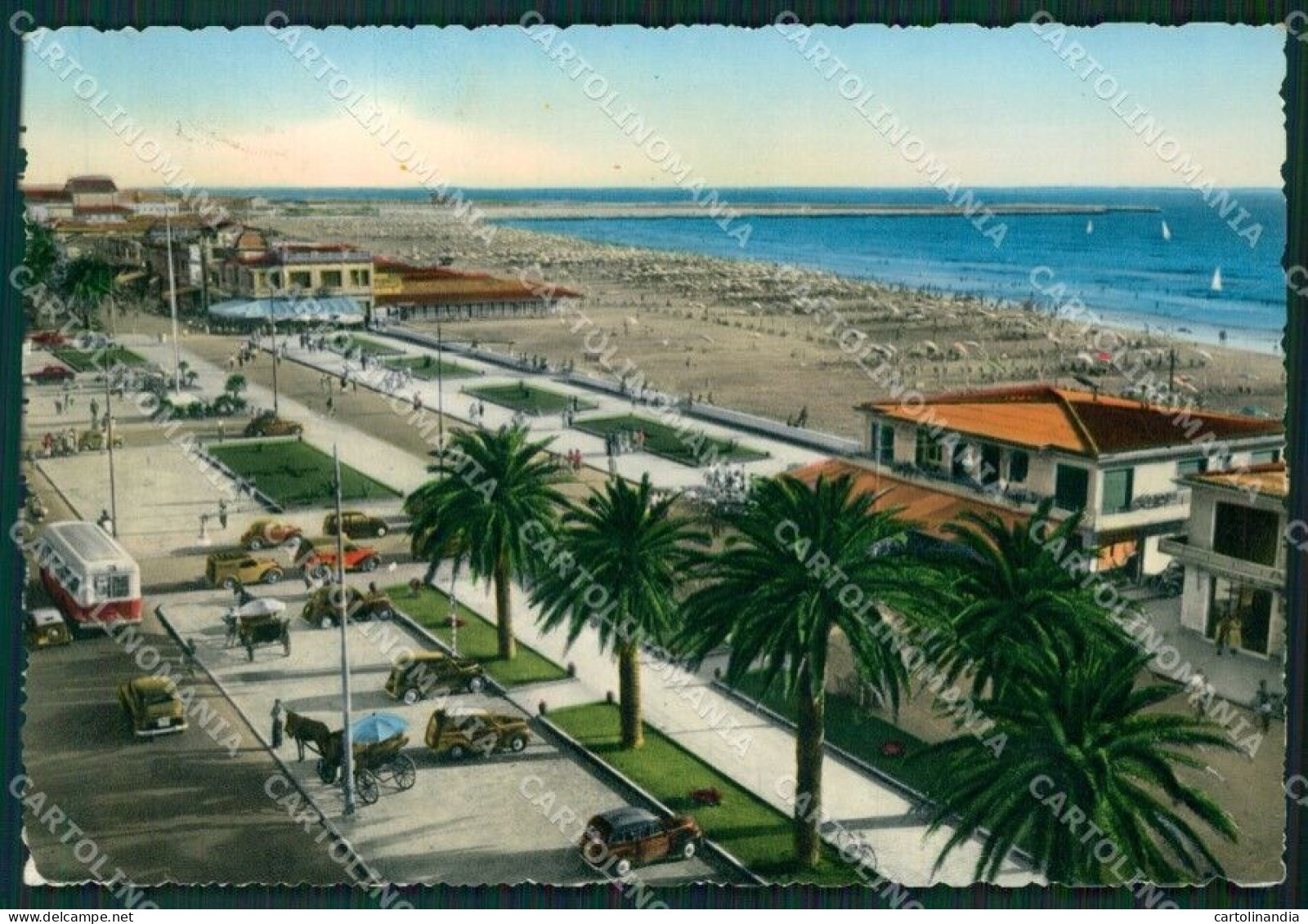 Lucca Viareggio Corriera Foto FG Cartolina ZK1334 - Lucca