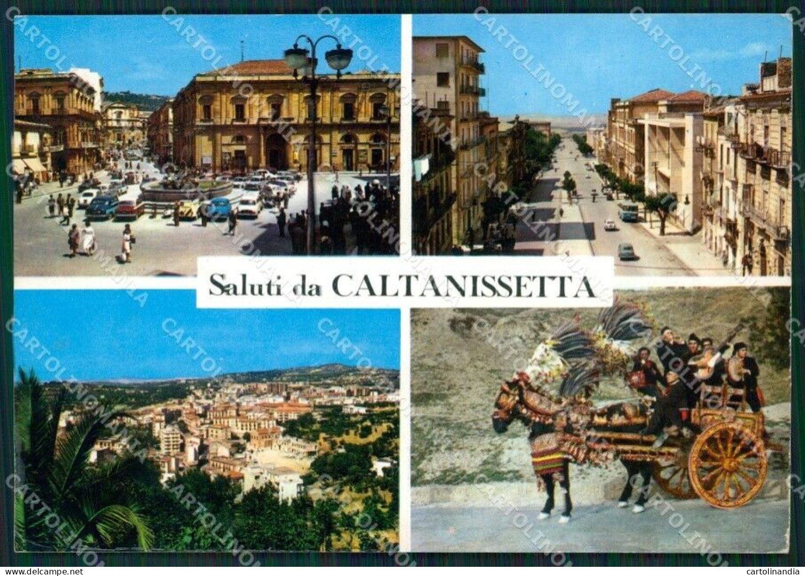 Caltanissetta Città Saluti Da MACCHIA Foto FG Cartolina ZKM7651 - Caltanissetta