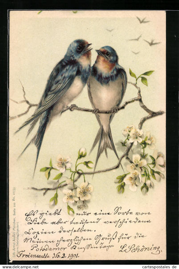 Lithographie Zwei Schwalben Auf Einem Blühenden Obstbaumzweig  - Oiseaux