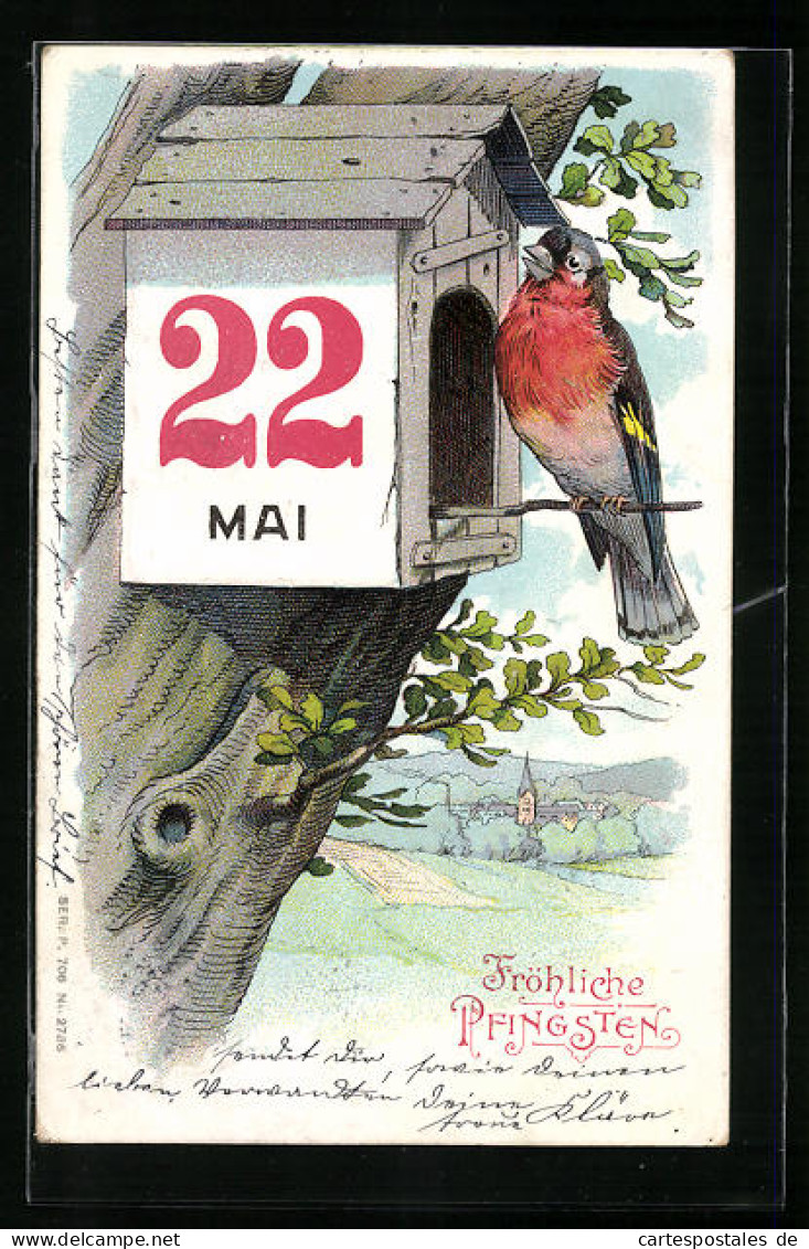 Präge-Lithographie Vogel Vor Vogelhaus Am Baum, Pfingstgruss  - Oiseaux
