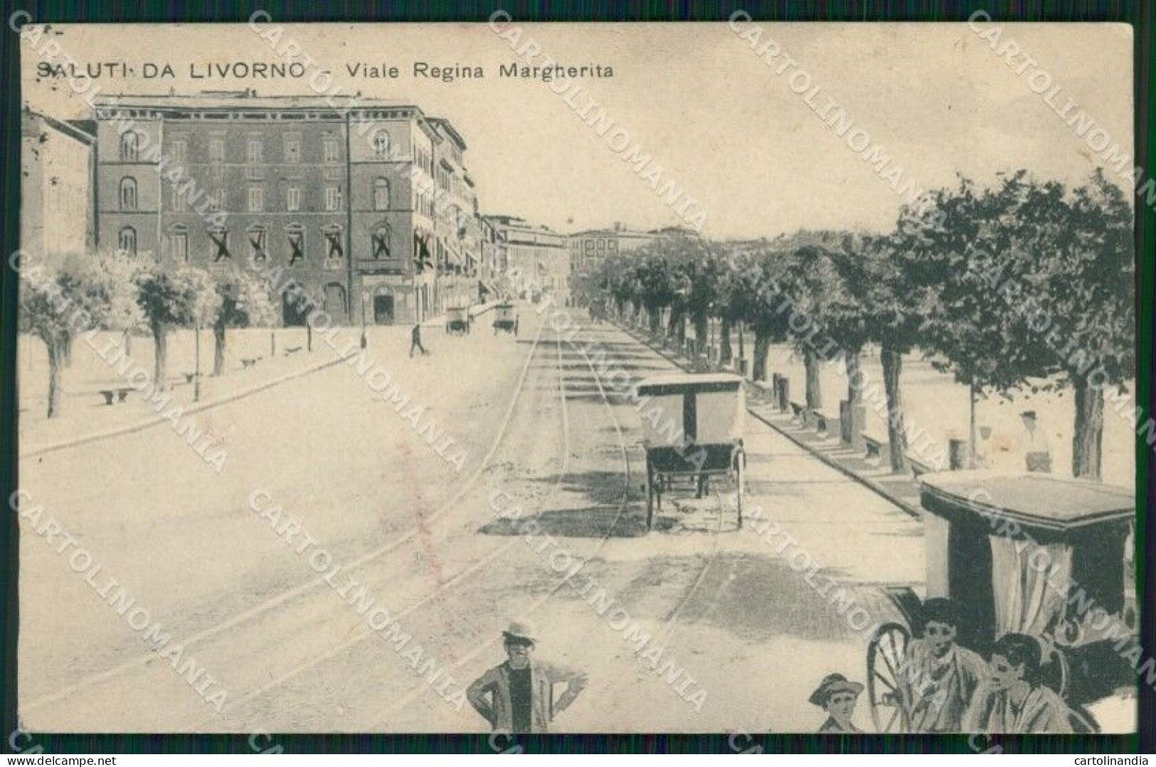 Livorno Città Viale Regina Margherita Carrozze Cartolina WX1801 - Livorno
