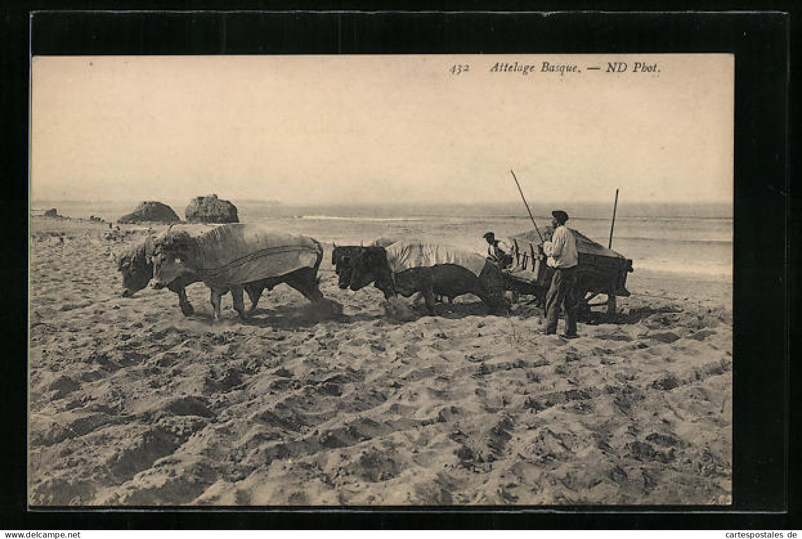AK Baskische Bauern Mit Ochsen-Gespann Am Meer  - Vaches