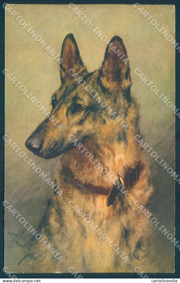 Animals Arthur Wardle Dog German Shepherd Cartolina Postcard TW1350 - Autres & Non Classés