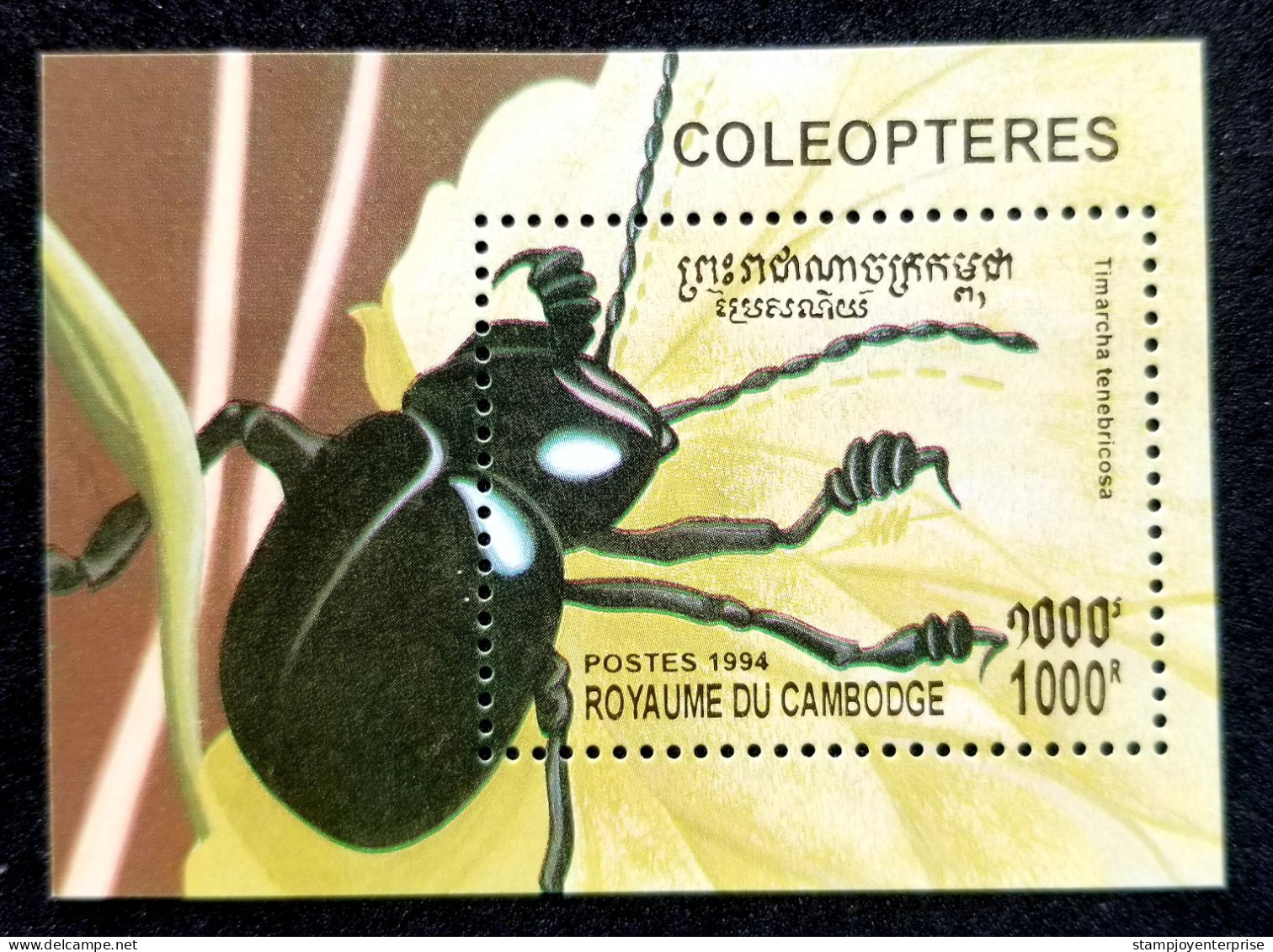 Cambodia Beetles 1994 Insect Beetle (ms) MNH - Cambodia