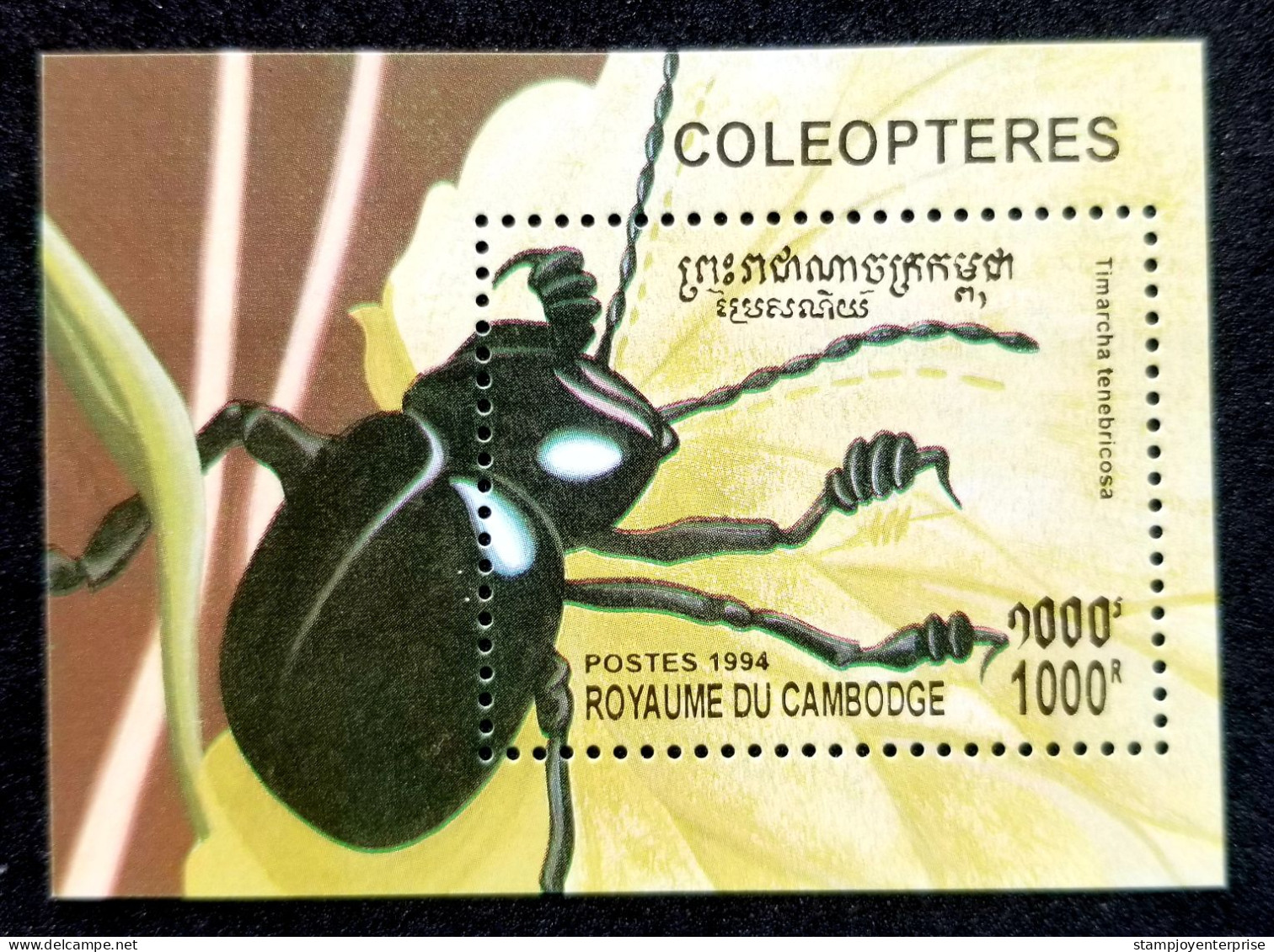 Cambodia Beetles 1994 Insect Beetle (ms) MNH - Cambodja