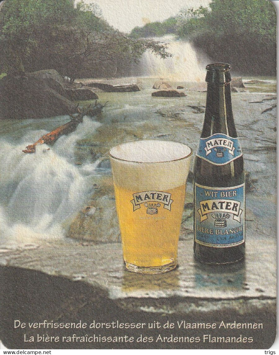 Mater Witbier - Portavasos