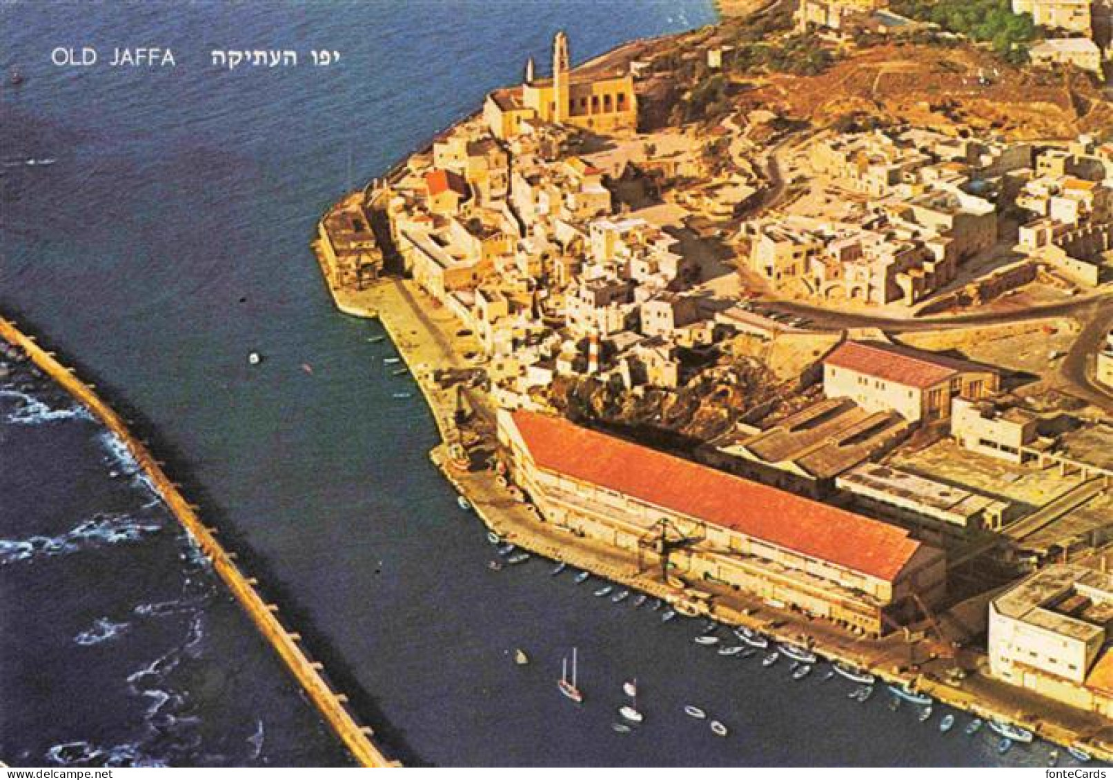 73971727 Jaffa_Tel-Aviv_Israel Fliegeraufnahme - Israel