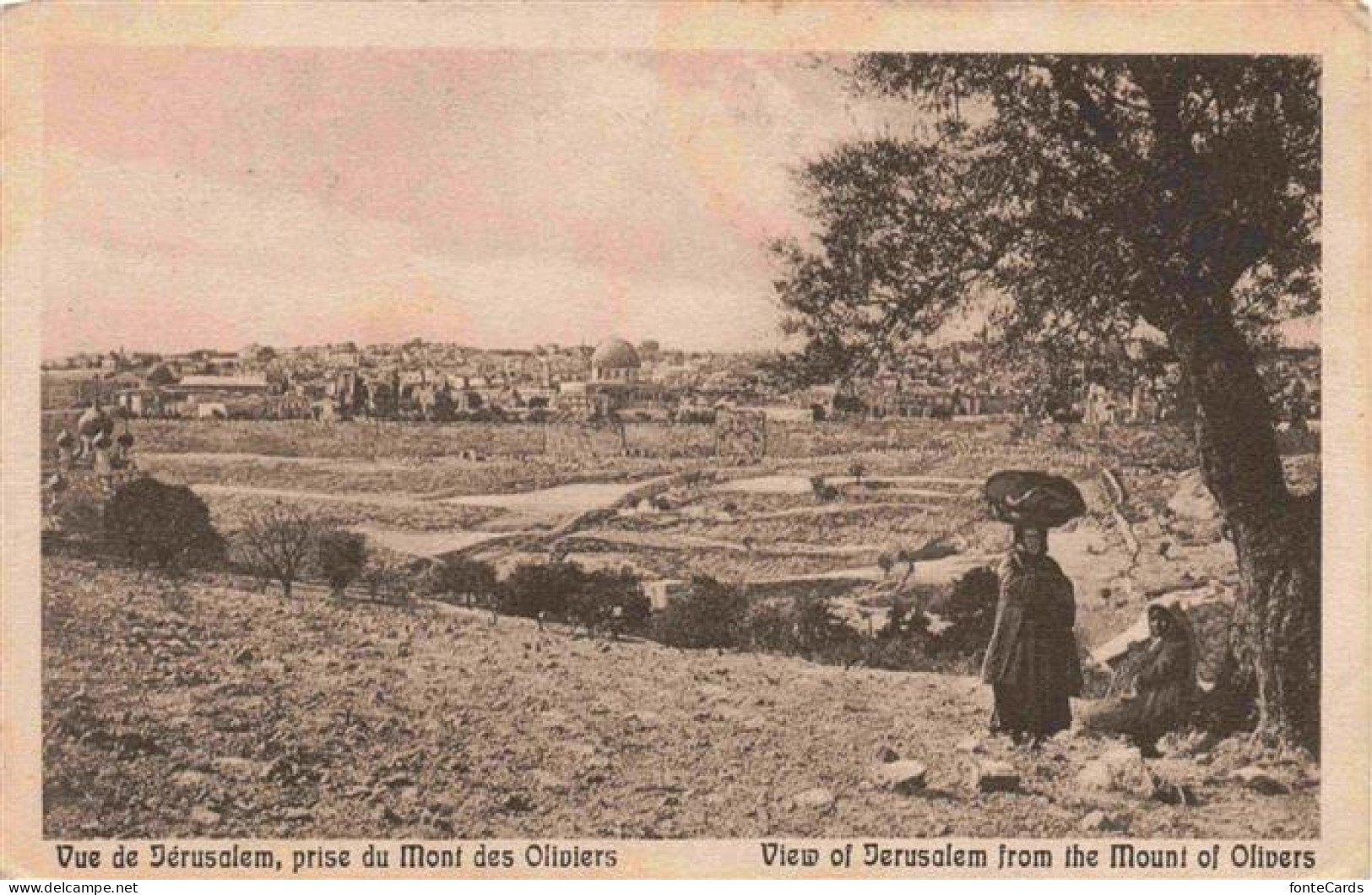 73971650 Jerusalem__Yerushalayim_Israel Vue Prise Du Mont Des Oliviers - Israel