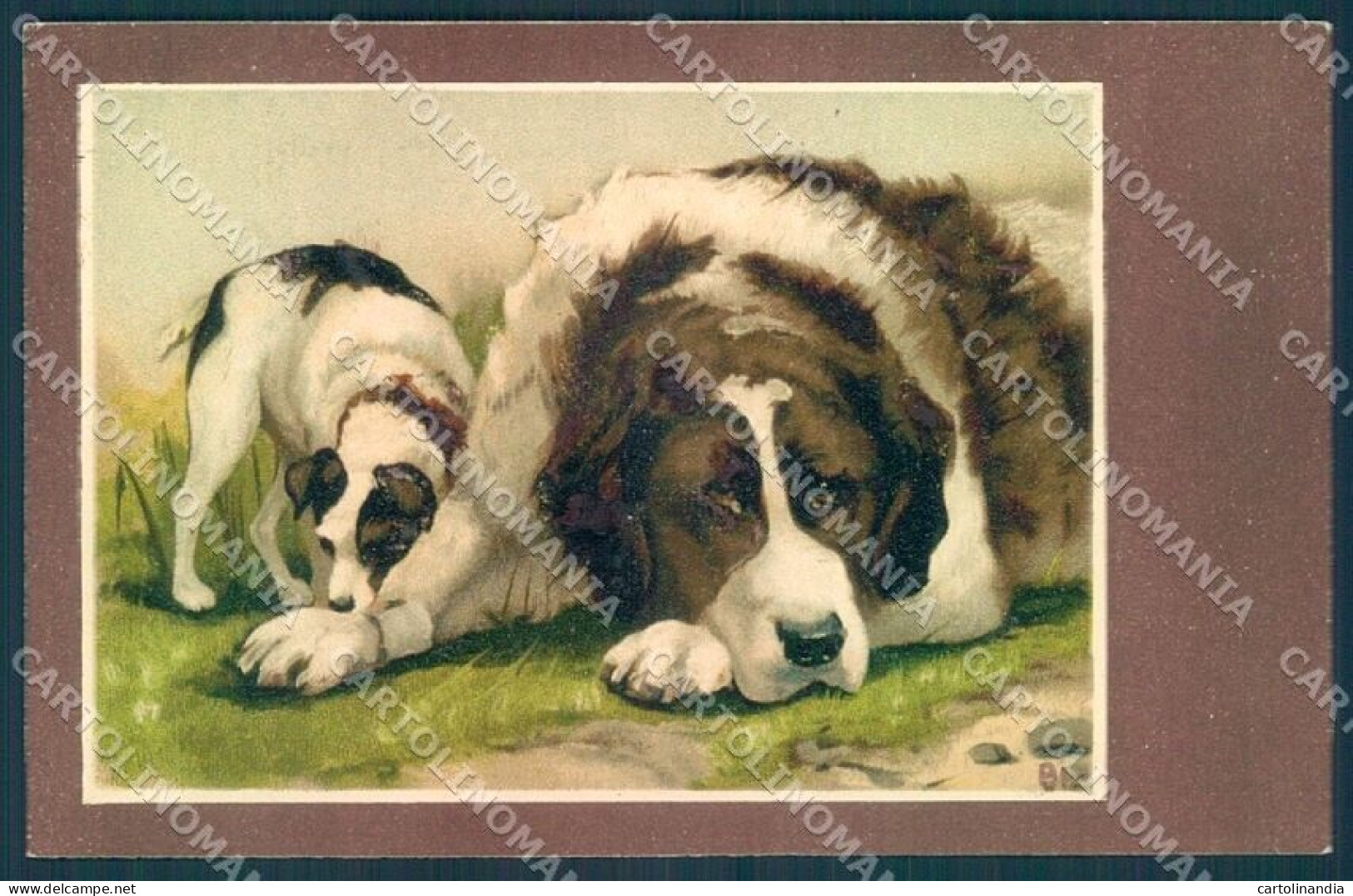 Animals BT Dog Saint Bernard Jack Russell Cartolina Postcard TW1374 - Autres & Non Classés