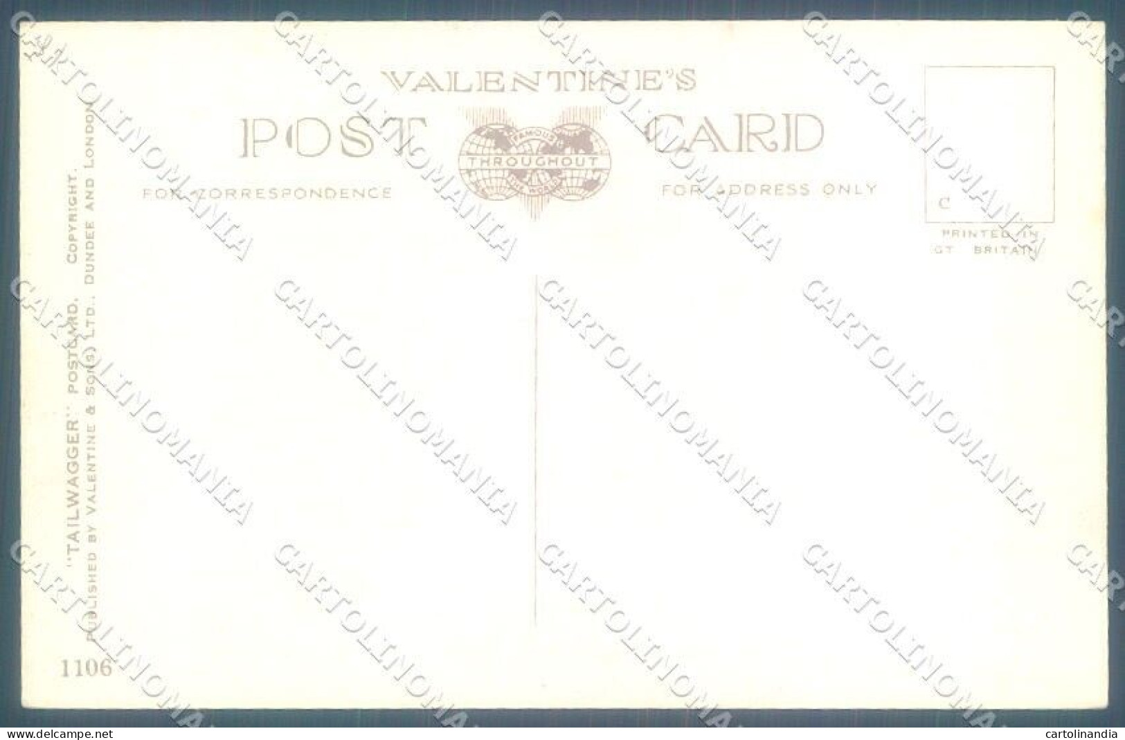 Animals Mac Dog Maltese Tennis Sport Valentines 1106 Cartolina Postcard TW1373 - Autres & Non Classés