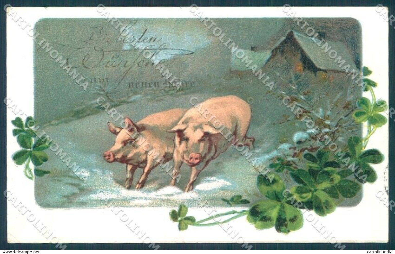 New Year Pig Four Leaf Clover Cartolina Postcard TW1392 - Autres & Non Classés