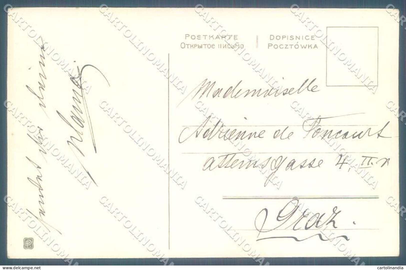 Animals Dog German Pinscher Pittius Cartolina Postcard TW1264 - Altri & Non Classificati