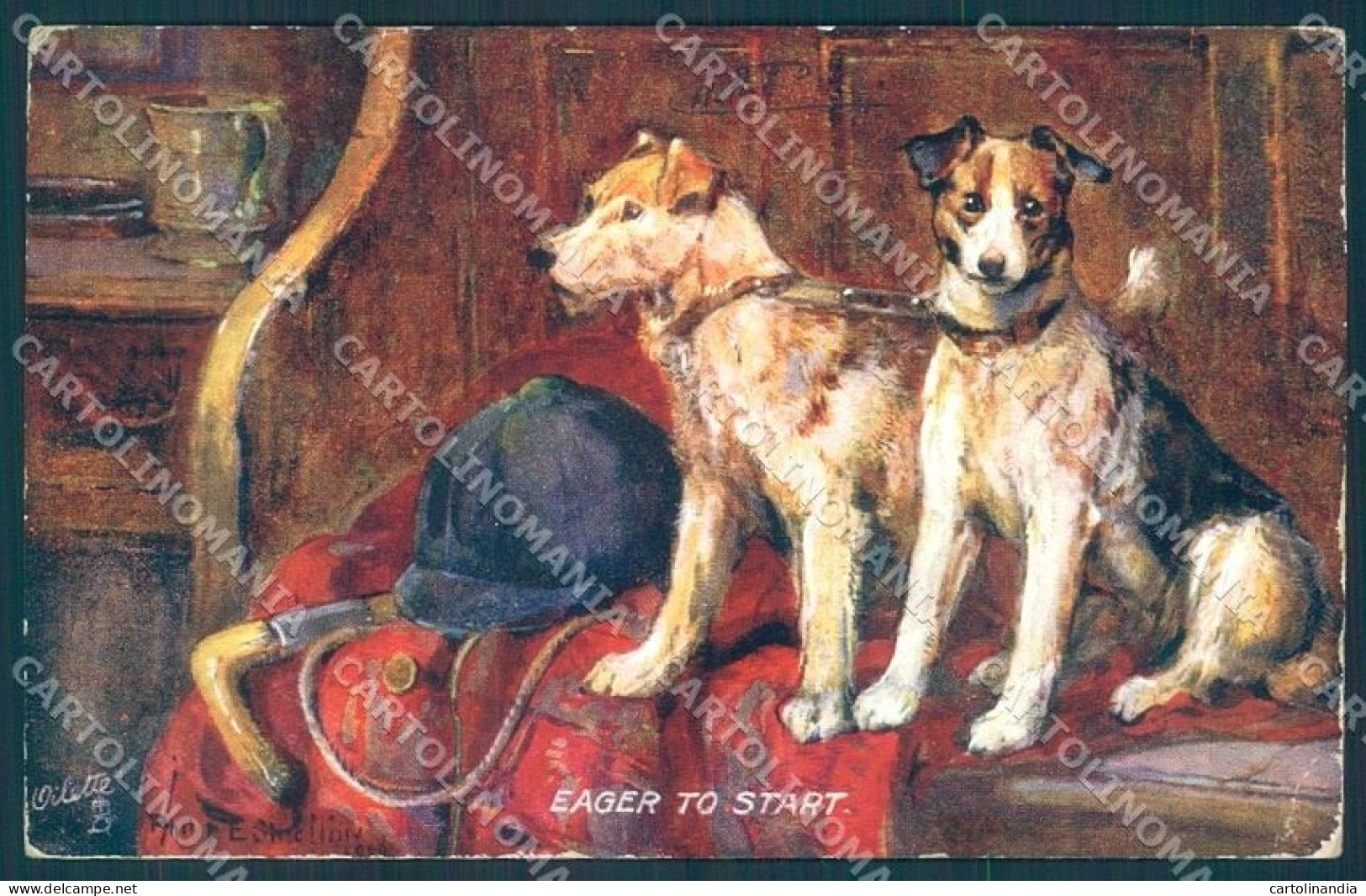 Animals Philip Stretton Dog Fox Terrier Tucks Oilette 9376 Postcard TW1303 - Other & Unclassified