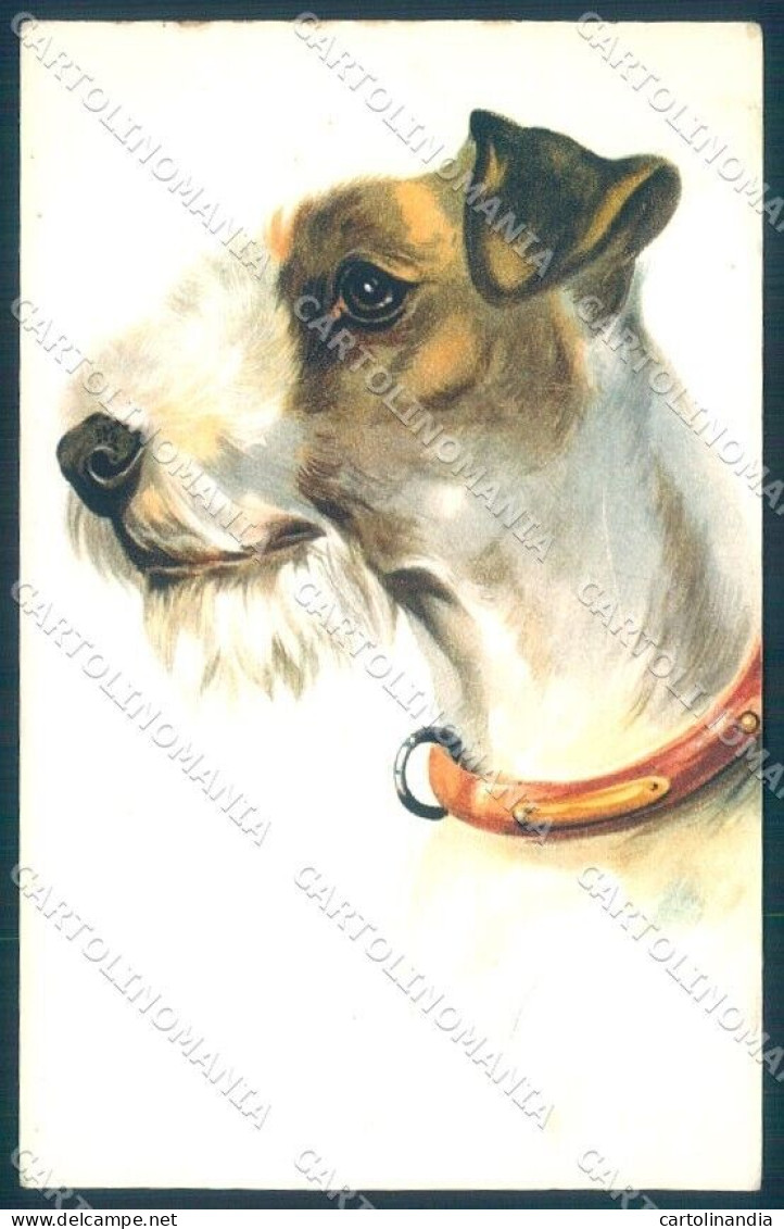 Animals Norfini Dog Fox Terrier Serie 1044 Cartolina Postcard TW1290 - Other & Unclassified