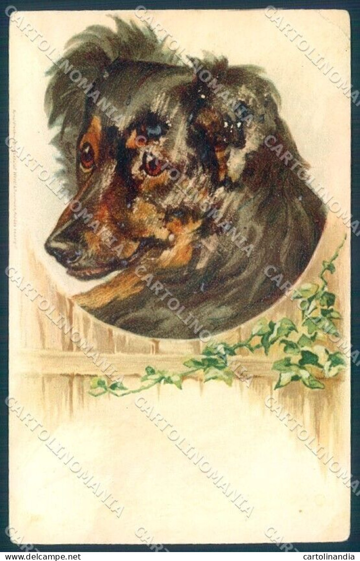 Animals Dog Shepherd CORNER CREASE Cartolina Postcard TW1281 - Other & Unclassified