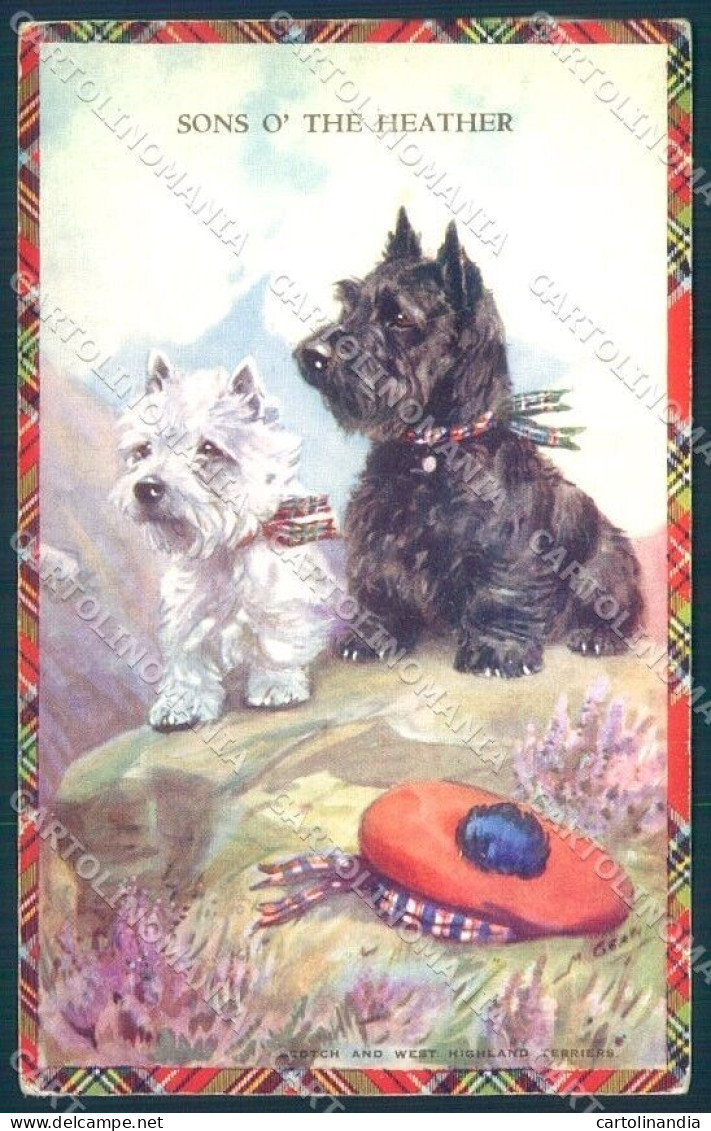 Animals Mabel Gear Scotch West Highland Terrier Valentines 5104 Postcard TW1315 - Other & Unclassified