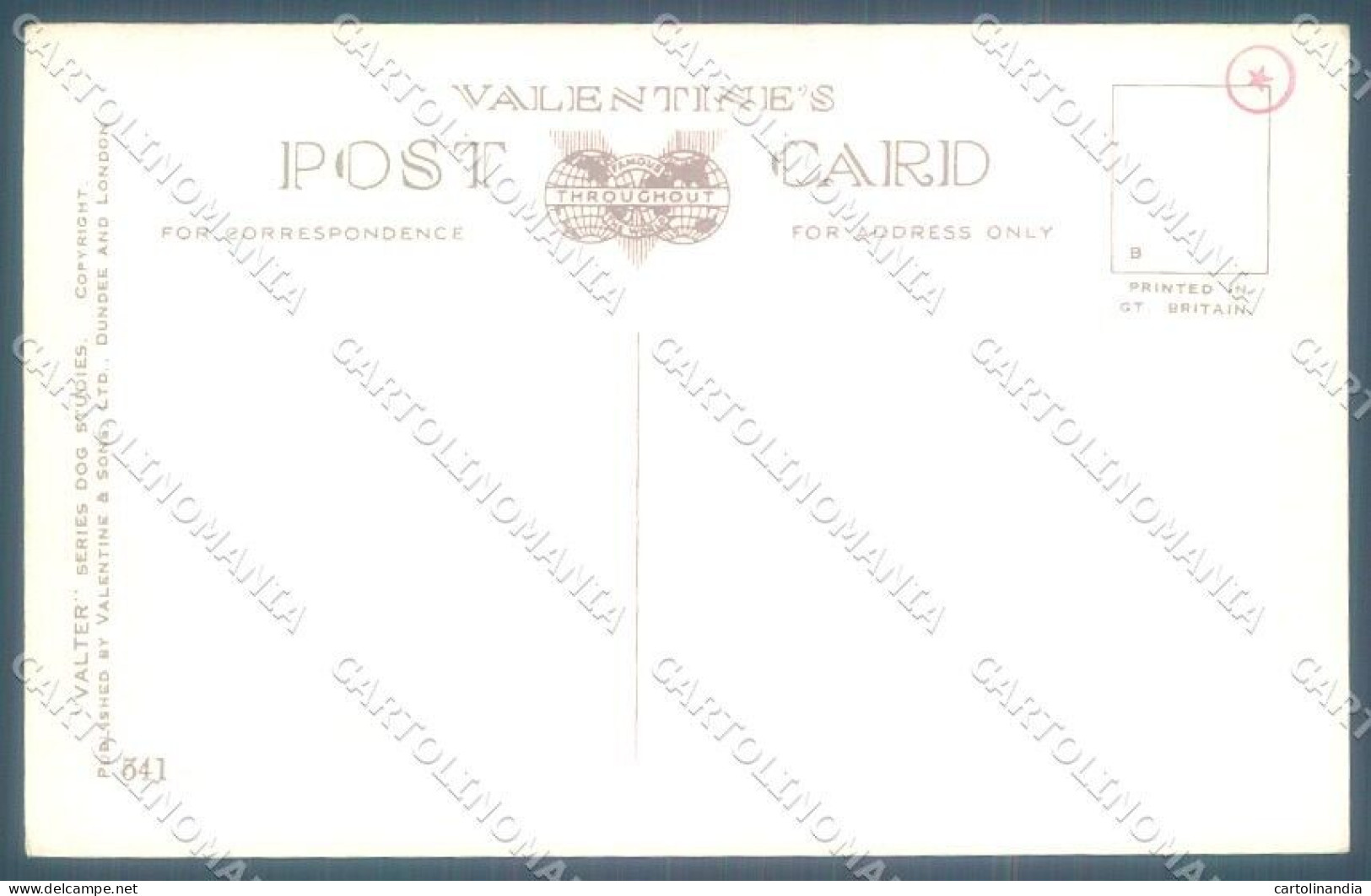 Animals Florence Valter Dog Cairn Terrier ? Valentines 541 Postcard TW1237 - Other & Unclassified