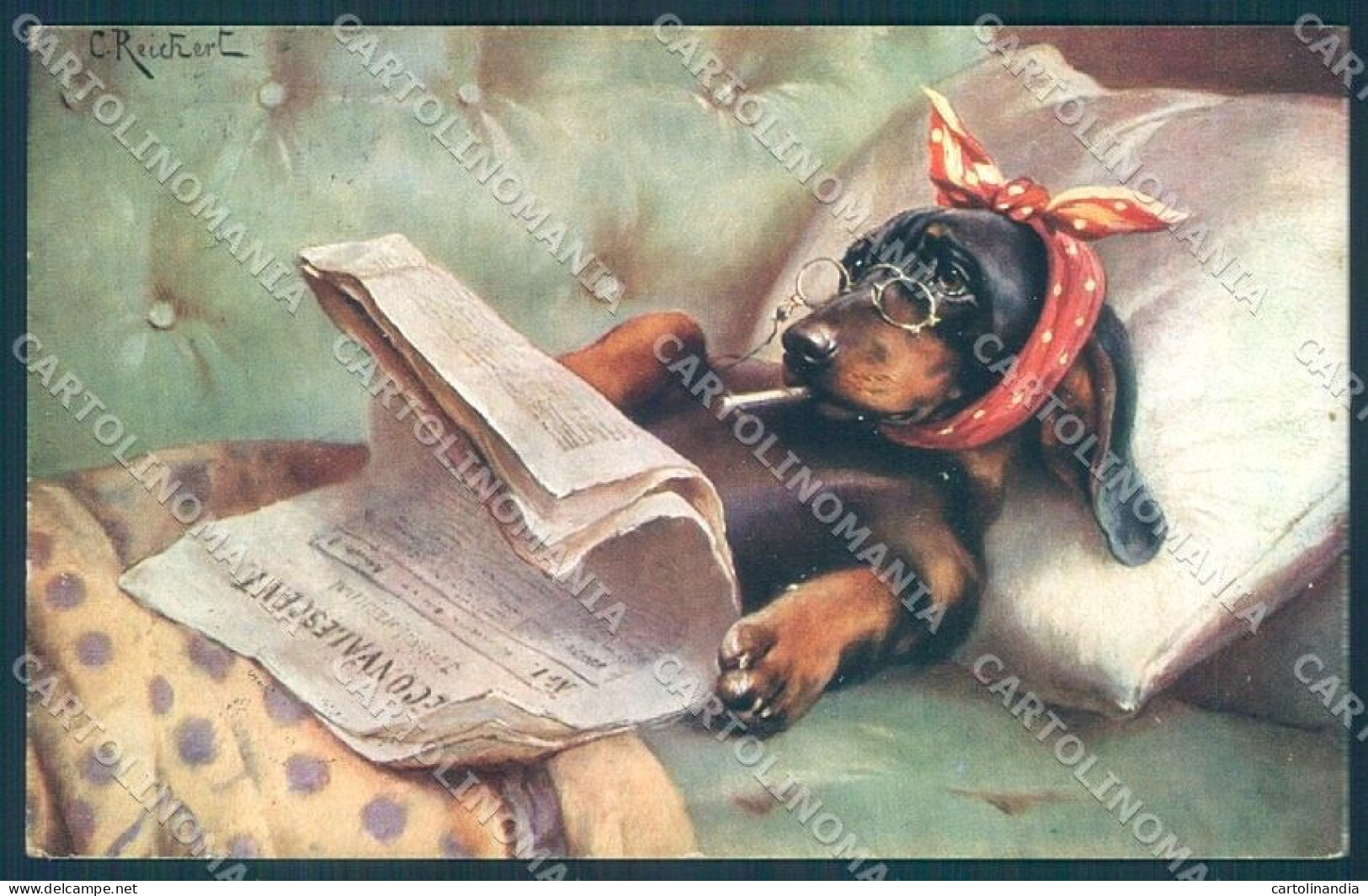 Animals Reichert Dog Dachshund Newspaper TSN 1010 Cartolina Postcard TW1277 - Other & Unclassified