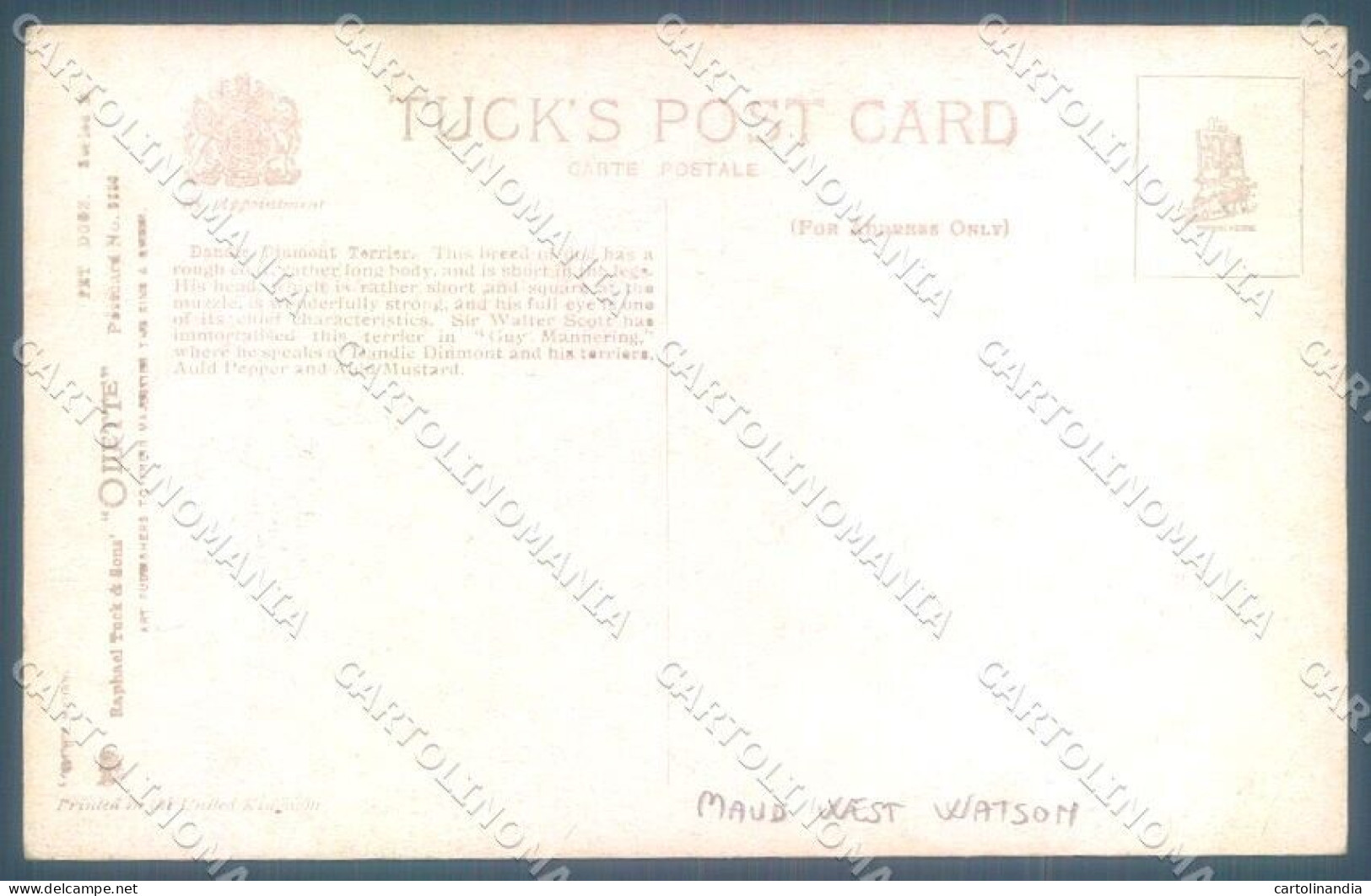 Animals Maud West Watson Dandie Dinmont Terrier Dog Tuck Oilette Postcard TW1240 - Other & Unclassified