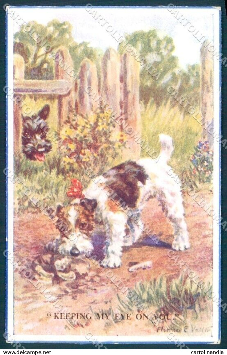 Animals Florence Valter Dog Cairn Terrier ? Valentines 1030 Postcard TW1239 - Other & Unclassified