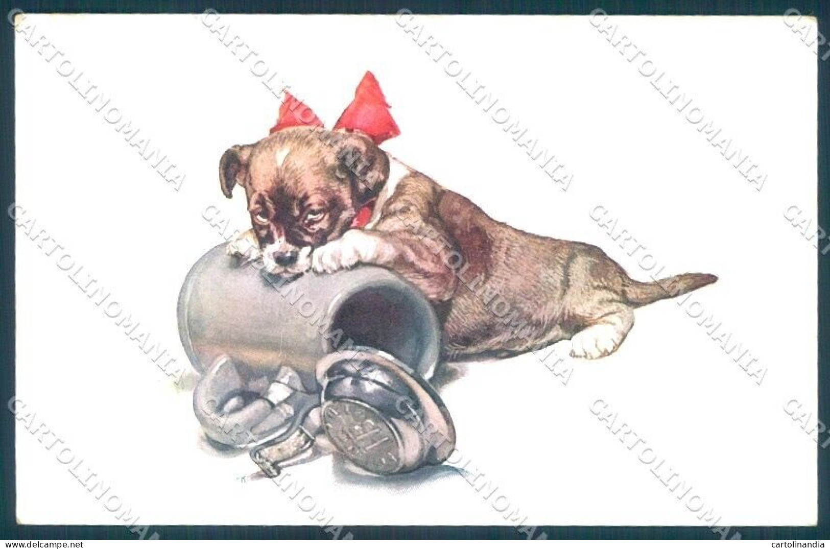 Animals Dog Puppy BKWI 607-2 Cartolina Postcard TW1223 - Other & Unclassified