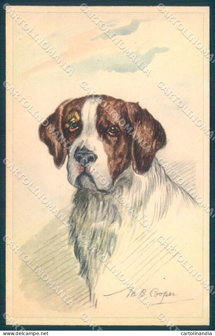 Animals MB Cooper Saint Bernard Dog Serie 1163 Cartolina Postcard TW1152 - Other & Unclassified