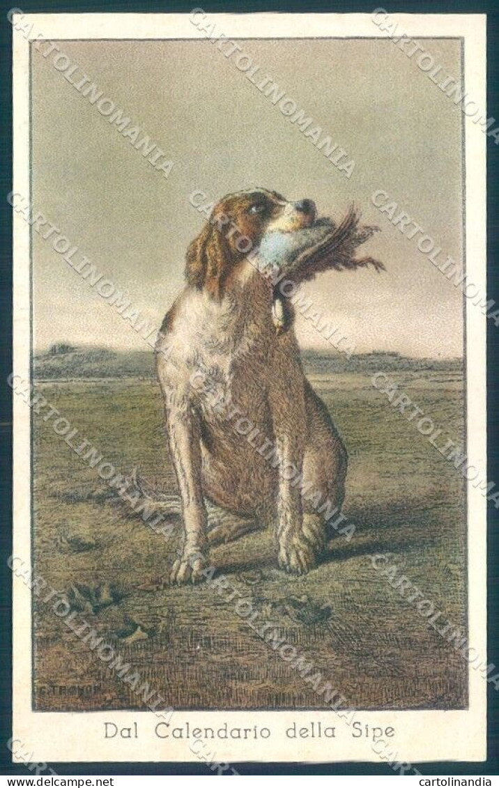 Animals Treyon ? Pointer Dog Advertising Hunting Woodcock Postcard TW1151 - Other & Unclassified