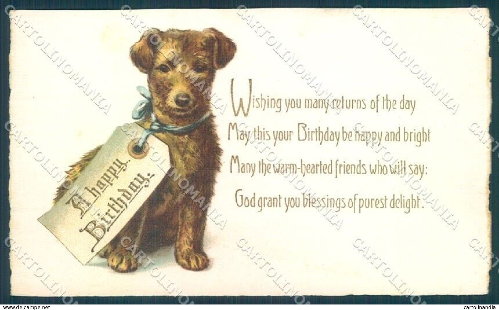 Animals Terrier Dog Birthday Card Cartolina Postcard TW1114 - Sonstige & Ohne Zuordnung