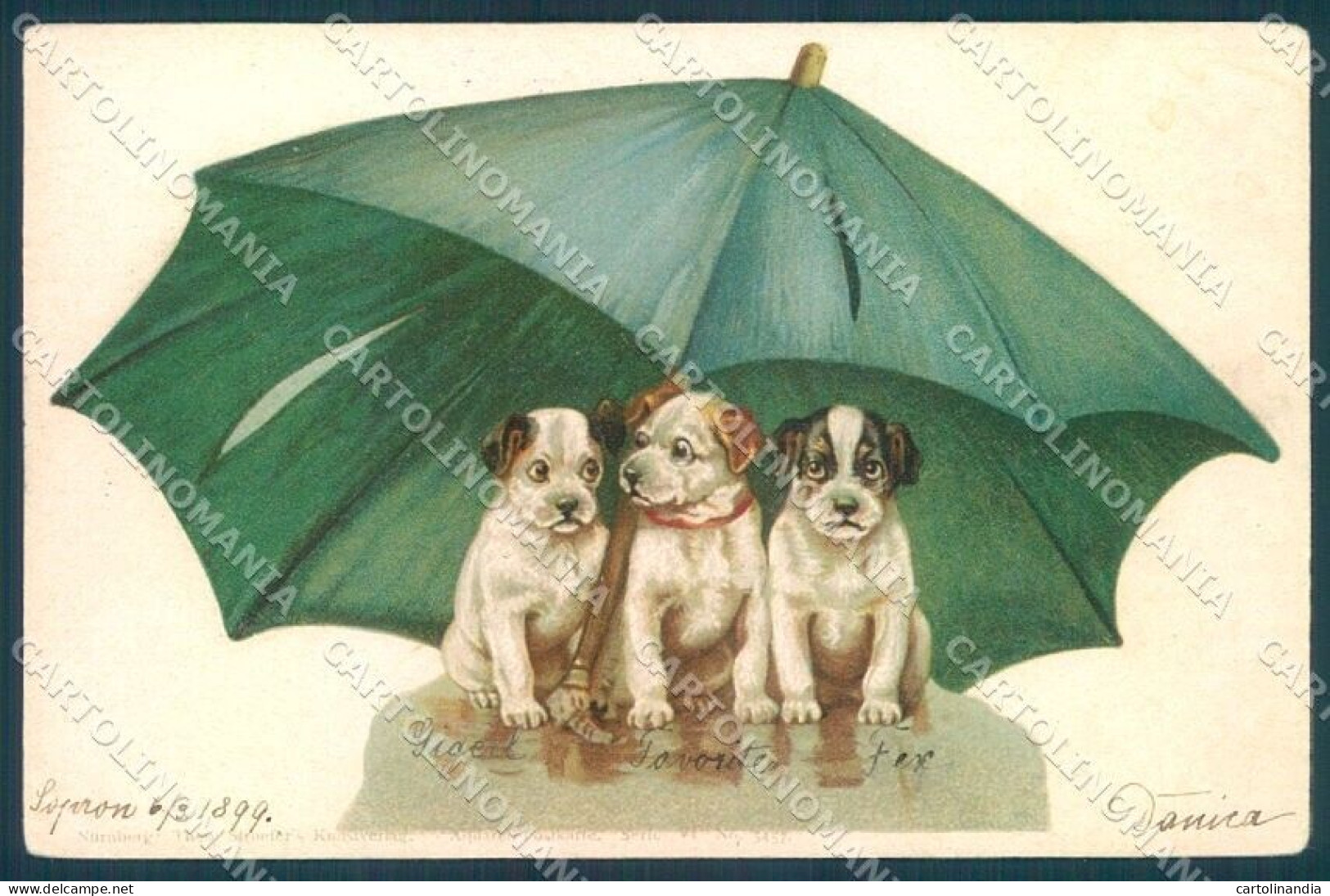 Animals Dog Puppies Jack Russell TSN Aquarell 5457 CORNER CREASE Postcard TW1196 - Sonstige & Ohne Zuordnung